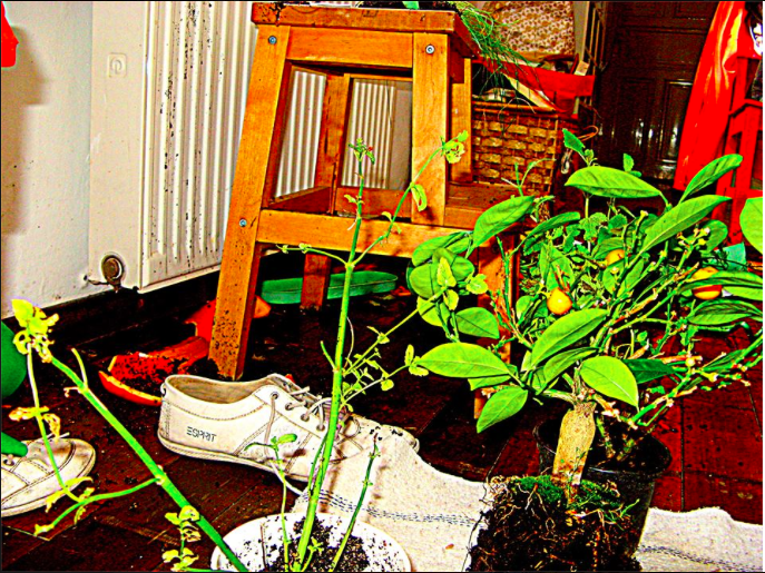 Képernyőfotó 2015-08-14 - 14.04.50