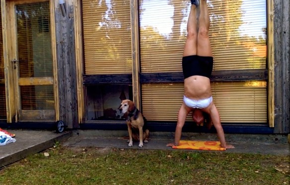 Képernyőfotó 2016-07-20 - 21.39.38