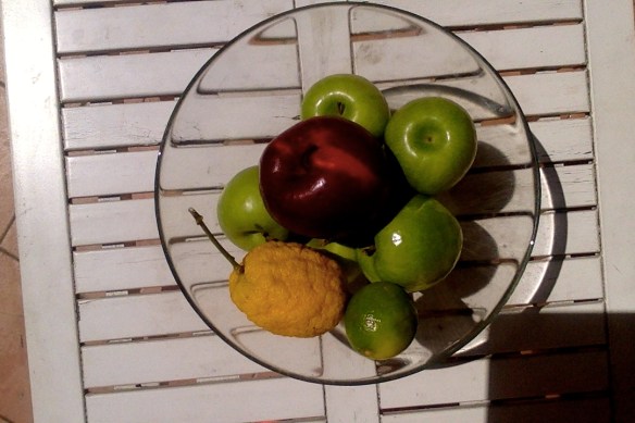 Fotó - 2016.05.07. 13.28