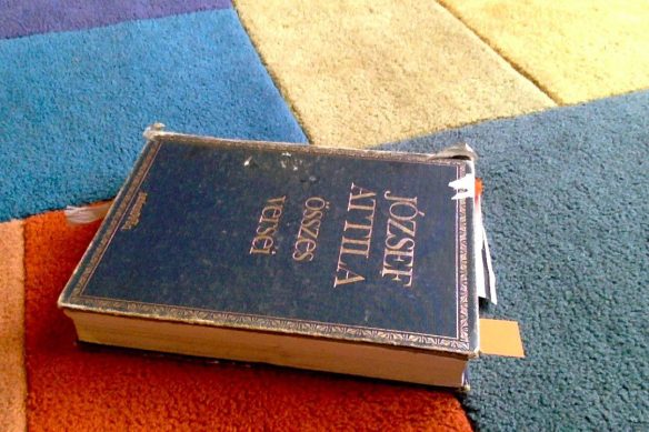 foto-2016-10-03-16-43