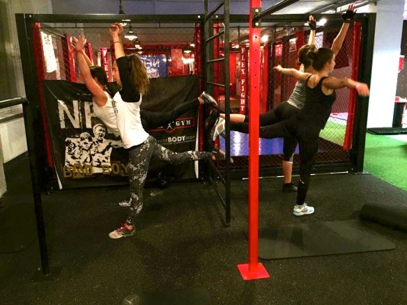 16507334_10208697329646740_1986155260_n