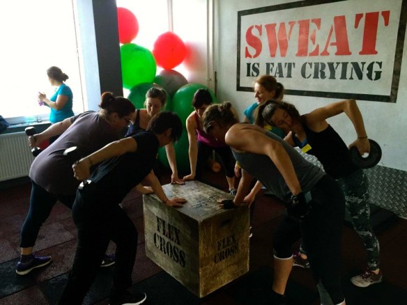 16507571_10208697338166953_248538592_n