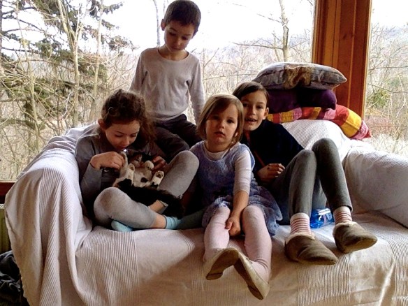 Fotó - 2017.03.12. 11.58 #3