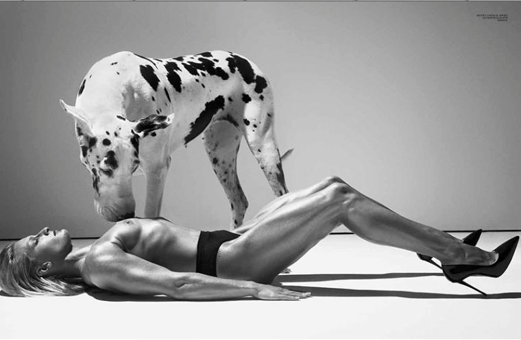 Képernyőfotó 2017-12-10 - 19.55.52