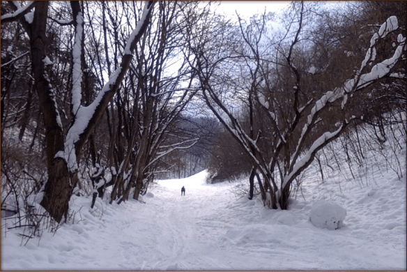 Képernyőfotó 2018-02-28 - 12.43.55