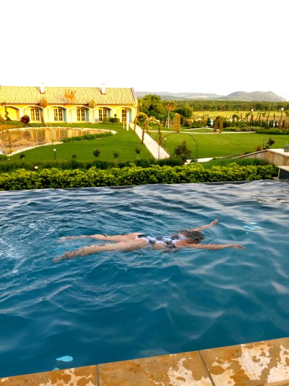 31901786_10156498279207834_5758259522716041216_n