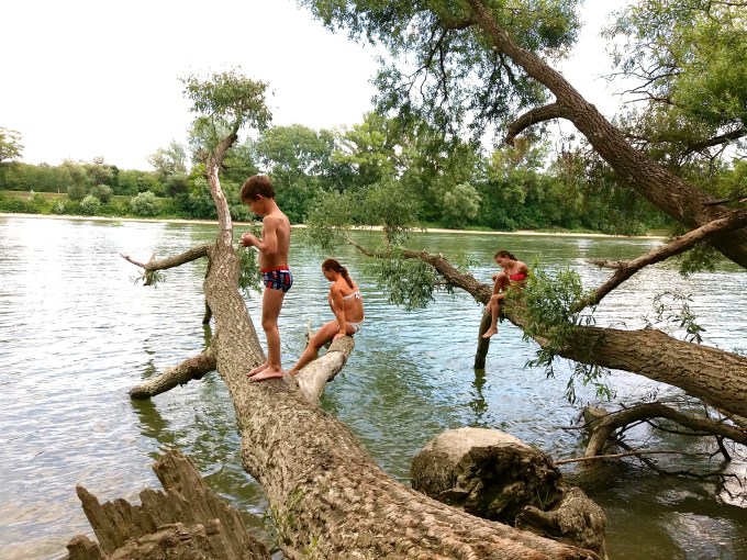 37032722_10156669979117834_2376283522294874112_n