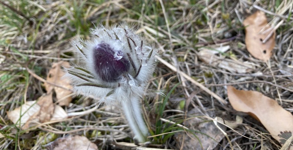 csak az olvassa. én szóltam