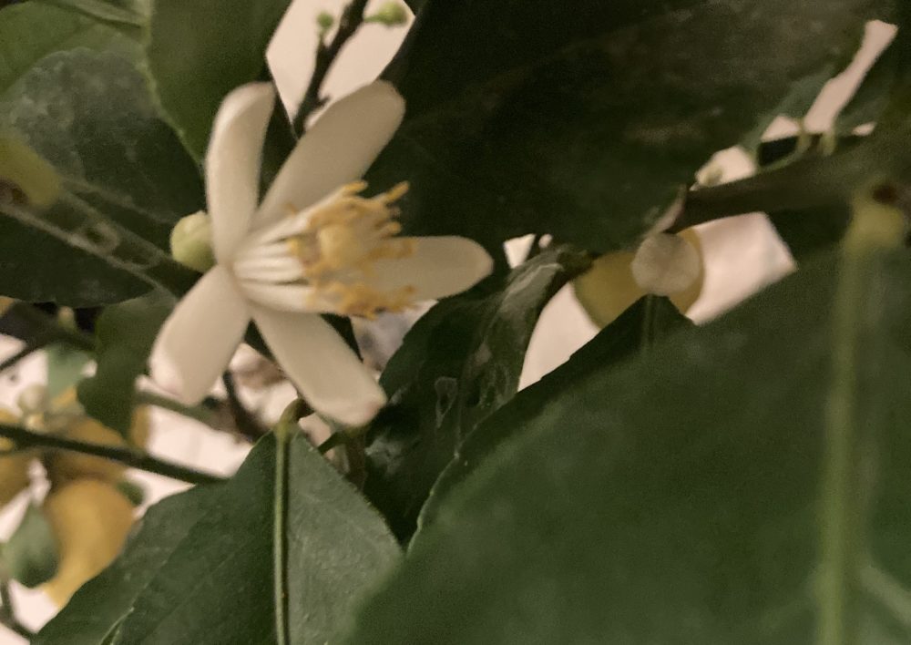 csak az olvassa. én szóltam