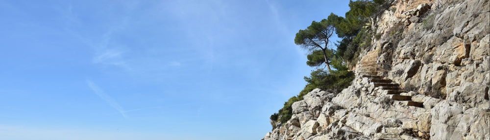 csak az olvassa. én szóltam